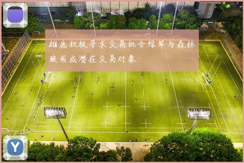 雄鹿积极寻求交易机会绿军与森林狼或成潜在交易对象